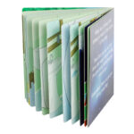 Children Educational Board Books