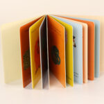 Guangzhou Printing Factory Uses Environmentally Friendly Inks to Print Children's Books