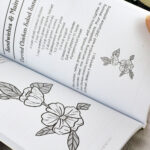 OEM Customized Soft Cover Book Printing Services Quality Perfect Binding with Cardboard Offset Paper Art Paper