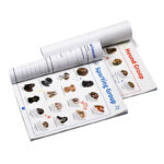 Custom Softcover Magazine Catalog Book Featuring Puppy Sticker Book Custom Printing
